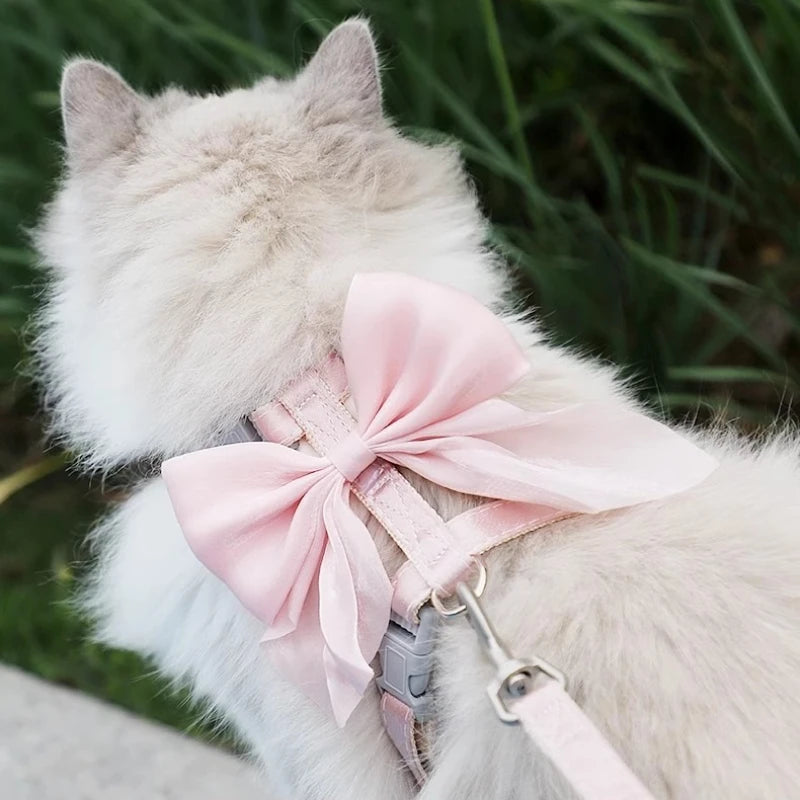 Luppy Cat leash
